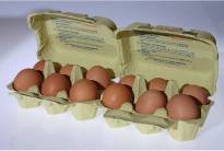huevos en caja cartón