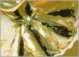 Poner una primera capa de sardinas en forma circular con las colas convergentes.