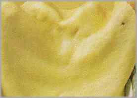 Untar con mantequilla una fuente y poner en ella un tercio de la pasta.