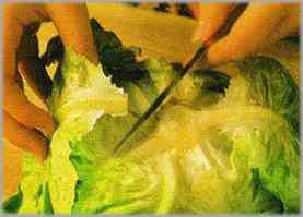 Remover y amasar. Limpiar las hojas de lechuga, y darles un hervor rápido.