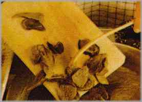 Cuando el ajo empiece a tostarse, sacarlo de la sartén y poner en ella los champiñones, en láminas delgadas.