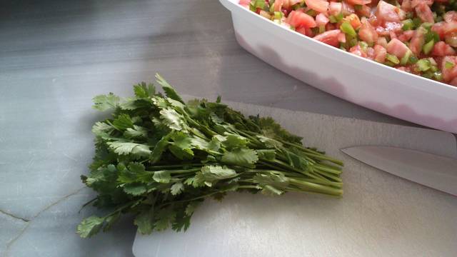 Mientras cocinamos El Pulpo unos 30 minutos (un Pulpo grande) vamos preparando un picadillo de Tomate pelado y pimiento verde.