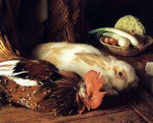 Recetas de Aves y Conejo de cocina Española